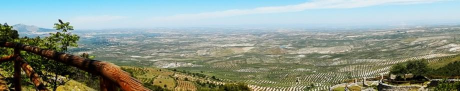 Panorama depuis la Sierra Magina